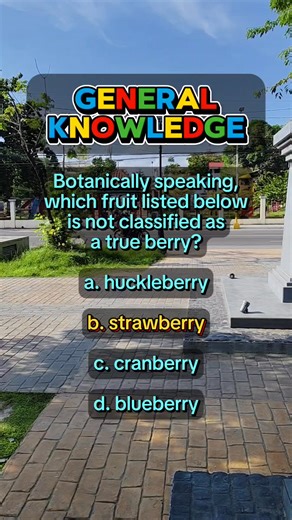 GENERAL KNOWLEDGE QUIZ #2 #GeneralKnowledge #QuizTime #TriviaFun #BrainChallenge #SmartQuiz #KnowledgeIsPower #TestYourIQ #FunTrivia #MindWorkout #QuizMaster | Learn English