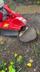 #Satisfying #stump grinding 💥 Another Stump Busted! 💥Another one ground out and cleared — leaving the area clean, level, and ready for whatever’s next ✅🌳 Professional stump grinding & removals📍 Serving Northamptonshire and surrounding areas📞 01604 808851📧 jlbtreesurgery@gmail.comBig or small – we grind them all! 💪🌿 | Jlb stump busters