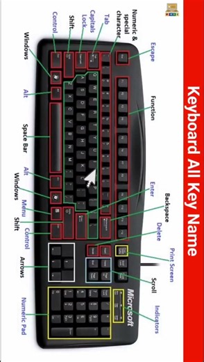 computer keyboard all button names #windows # ms office