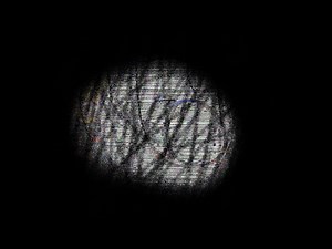 Ackerman - (chapter 2 song 3)