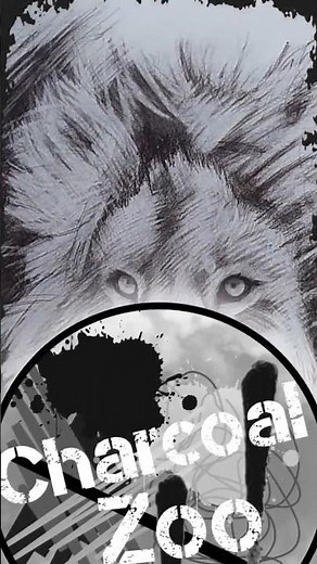 Lion Charcoal Drawing – Quick Art Reveal - Wildlife Portrait