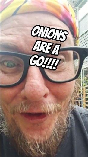 O Face for Onions #gardencomedy #onions #omg