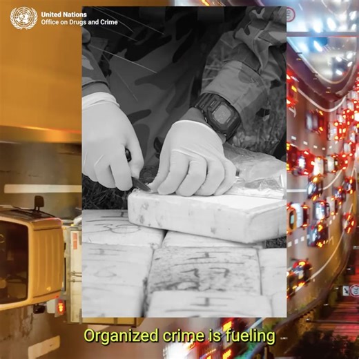 2.3K views · 49 reactions | On 26 June, #WorldDrugDay, let’s break the cycle of organized crime entrenching violence, poverty and drug dependence. Investing in prevention is how we #StopOrganizedCrime — and build safer, healthier communities. Here’s how:  | UNODC - United Nations Office on Drugs and Crime | Facebook