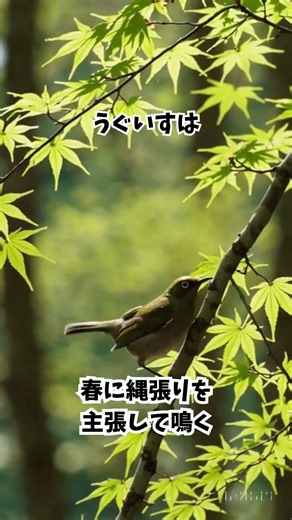 春に動き出す生き物の雑学7選