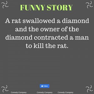 125K views · 1.4K reactions | A cat swallowed a diamond and the owner of the diamond.... | Comedy Company | Facebook