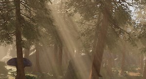 Fantasy Forest [Cinematic]   [Asset Pack]