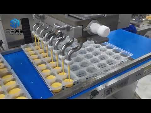 HS series Cake Pastry Piston Depositor Machine