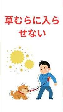 犬も花粉症になる！？ #いぬのいる生活 #いぬまめ#犬の豆知識#いぬ