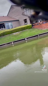 Drop Shot, Texas rig or mosquito hook? | Informative Fisherman