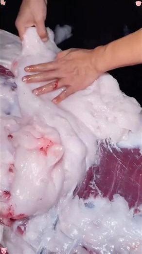 Facts about lard#amazing #didyouknow #knowledge #fyp #youtube