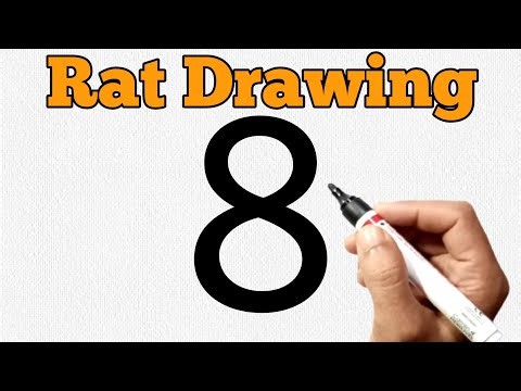 Rat Drawing with Number 8 | Easy Rat Drawing for Beginners