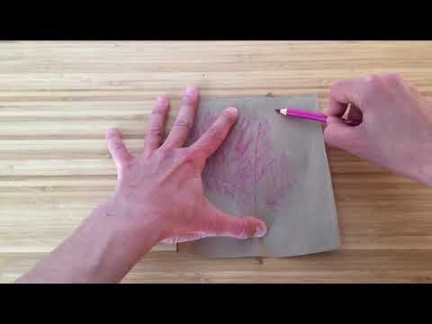 Make a Nature Rubbing | Art Project for Kids | Happy Earth Day!