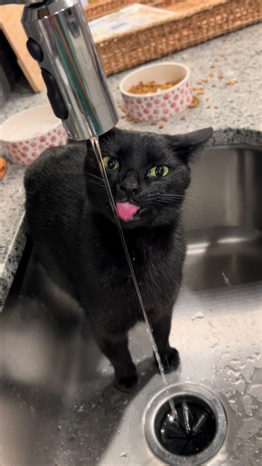 Prevent Frozen Pipes: Tips for Winter Care