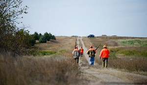 What Hunters and Anglers Need to Know About the CRP Improvement Act | Theodore Roosevelt Conservation Partnership