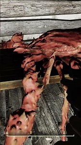 Poltergeist joined the chat | Fallout 76