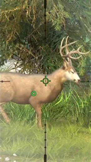 hunting clash way of hunting Hunter clash #hunthowdown #coonhunting #gaming #hunting #mrbeast #game
