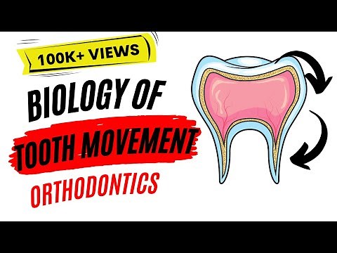 Biology of tooth movement