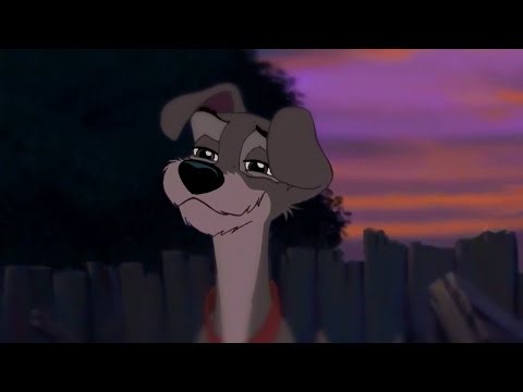 Animash Couples — the 1