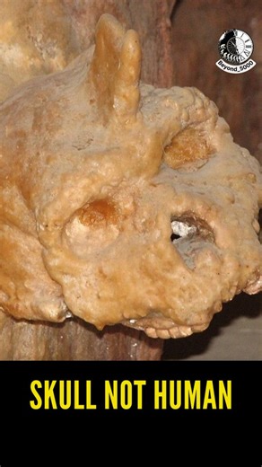Beyond 5000 on Instagram: "A 277,000 year old skull was discovered in Greece's Petralona Cave, showing a glimpse into early human ancestry. Scientists claim that the skull was neither human nor neanderthal but belonged to a species more ancient. New discoveries suggest the skull belonged to a member of a primitive, extinct hominid that lived alongside Homo neanderthalensis. A "neanderthal" refers to an extinct species or subspecies of archaic humans known as Homo neanderthalensis. They lived in