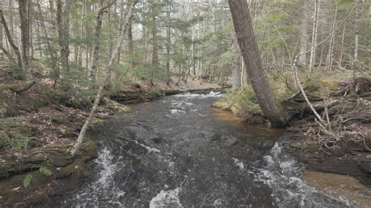8.2K views · 219 reactions | Rock River Falls Chatham, MI 4/10/24 | Head in the Clouds Photography | Facebook