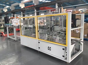 [Hot Item] Cartoning Case-Packer Machine for Bottle and Blister