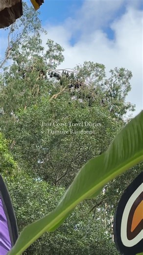 Exploring Daintree Rainforest: A Backpacking Journey