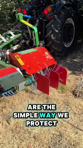 Olmi Mechanical Weeder — Organic Apples
