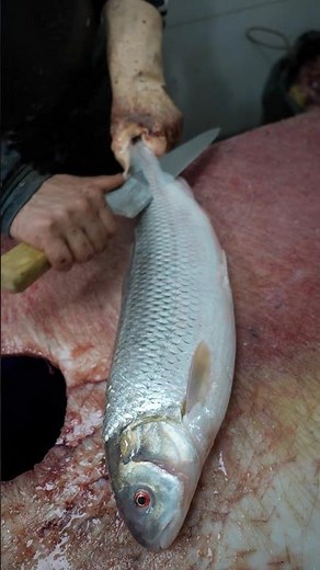 Delicious Caspian Sea Fish: Expert Filleting Techniques