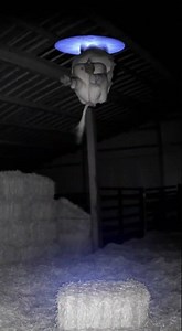 Did aliens steal cows?#cow #animals #alien