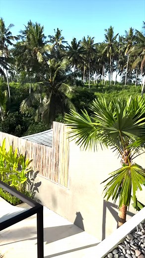 72K views · 1.8K reactions | Mufasa got his workout in for the day  | CousinSkeether | Facebook