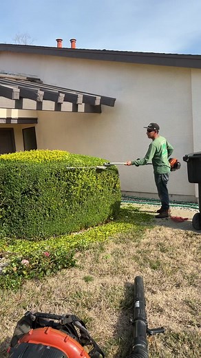 Efficient Leaf Blowing Techniques for Your Yard