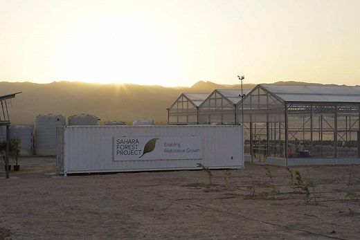 Jordan - Sahara Forest Project