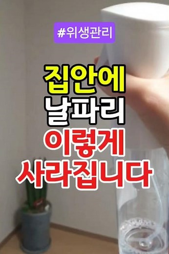 집안에 날파리 이렇게하면 싹 사라집니다 #날파리퇴치 #주방청결 #생활꿀팁 #위생관리 #집안청소