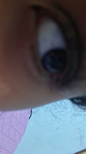 1 de novembro de 2025