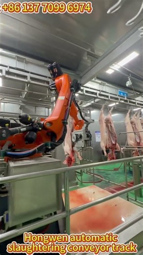 Next-Gen Hog Slaughtering Line | Automatic Pig Carcass Track Rail System | Hongwen Machinery