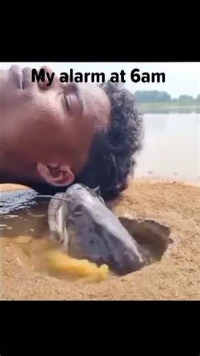 lingan guli guli guli 🔥🔥🔥🔥🔥🔥