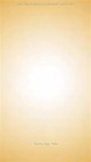 Pro Makeup Artist Secrets You Need to Know