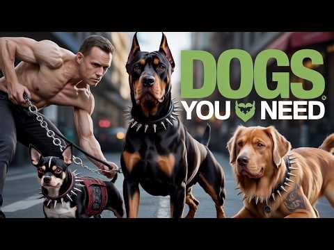 Top 12 best guard dog breeds to protect your family in 2025!