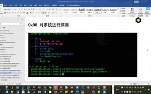 小飞侠-CTF挑战-RickdiculouslyEasy-06-利用Binwalk分析图片得到解压口令-得到第7个Flag_哔哩哔哩_bilibili