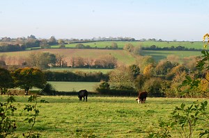 WineGB Carbon Calculator