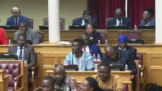 IPC MP and Shadow Minister of Agricultur, Fishery, Water and Land Reform, Hon Michael Mulunga gives notice to ask his counterpart, Hon Inge Zaamwani-Kamwi, critical questions on the 12th of March 2026 in regard to her ministry's plan to manage and contain the ever rising seal population off the coast of Namibia in relation to the depleting fish stock levels which is negatively affecting the fishing sector.#1IPC2026 #OriginalContentViral #20SeatsinParliamentIPC #LeaderOfTheOfficialOpposition