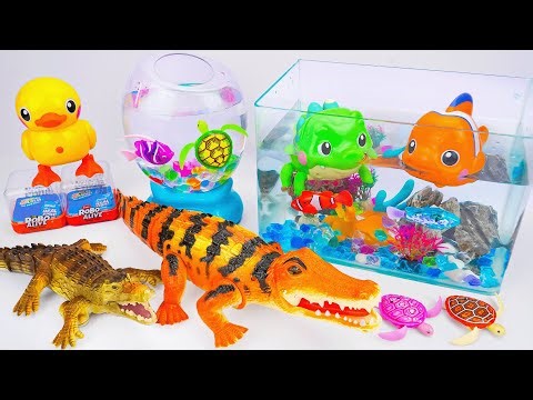 toy asmr | Zuru Robo Alive Duck & Aquarium & Nino Fish Playset ASMR Satisfying with Unboxing