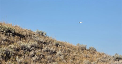 Wyoming Hunters Accuse Ranchers of Using a Plane to Herd Elk