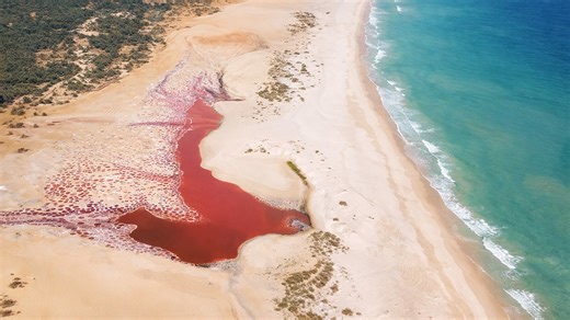 Is this a beach or a science experiment?