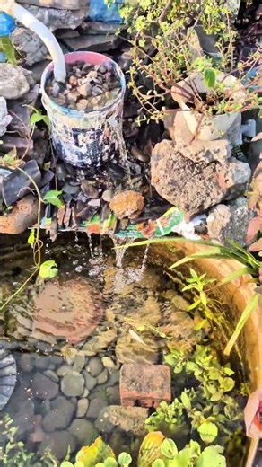 Old Pond Setup Leaked 😞 No Worries!🤠 | Rebuilding a Better Mini Pond 🌿🐠 #backyardpond #fishkeeping
