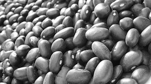 Black turtle beans, These beans are commonly used in Latin American, Caribbean, and Southwestern cuisines and are a staple in dishes like black bean soup, rice and beans, and various bean salads.