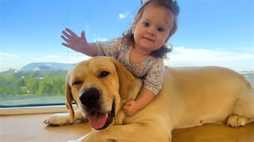 Huge puppy meets his baby sister – and never leaves her side