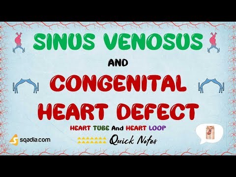 Heart Tube and Heart Loop | Sinus Venosus and Congenital Heart Defect