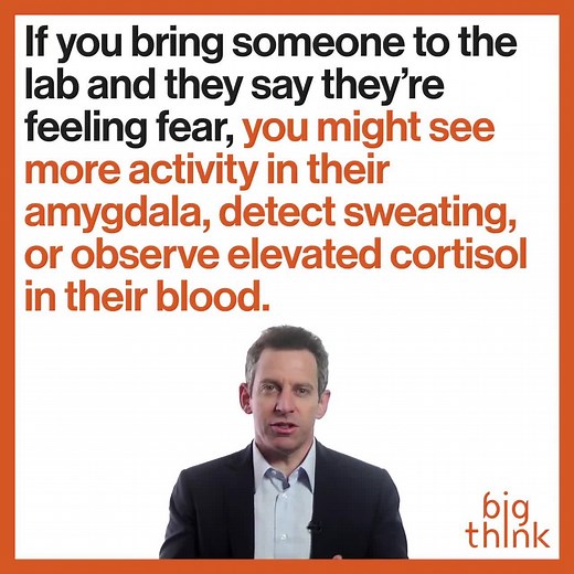 46K views · 105 reactions | Sam Harris explains how the subjective experience of life itself is just as valuable as neuroscience. | Big Think Science | Facebook