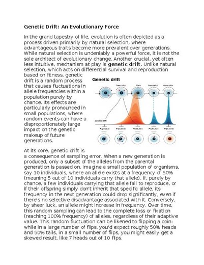 Genetic Drift Worksheet for Sub-Plan or Classwork & Homework